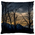 Tree silhouette at border of nahuel haupi lake, rio negro, argentina Standard Premium Plush Fleece Cushion Case (One Side) Front