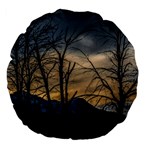 Tree silhouette at border of nahuel haupi lake, rio negro, argentina Large 18  Premium Flano Round Cushions Back