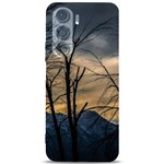 Tree silhouette at border of nahuel haupi lake, rio negro, argentina Samsung Galaxy S24 Plus 6.7 Inch Black TPU UV Case Front