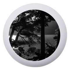 Los Alerces National Park Waterfront Landscape, Argentina002 Dento Box With Mirror
