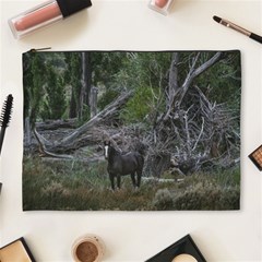 Meadow Landscape, Los Altares, Chubut Province, Argentina Cosmetic Bag (xl)