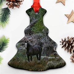 Meadow Landscape, Los Altares, Chubut Province, Argentina Christmas Tree Ornament (two Sides)