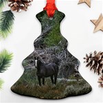 Meadow Landscape, Los Altares, Chubut Province, Argentina Christmas Tree Ornament (Two Sides) Front