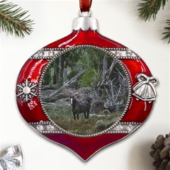 Meadow Landscape, Los Altares, Chubut Province, Argentina Metal Snowflake And Bell Red Ornament