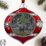 Meadow Landscape, Los Altares, Chubut Province, Argentina Metal Snowflake And Bell Red Ornament Front