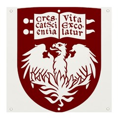 University Of Chicago Banner And Sign 4  X 4 