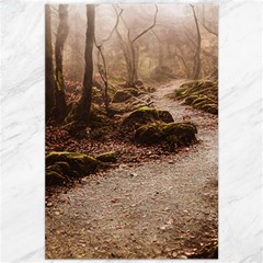 Path Trees Forest Fantasy Canvas 20  X 30 