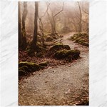 Path Trees Forest Fantasy Canvas 20  x 30  19.62 x28.9  Canvas - 1