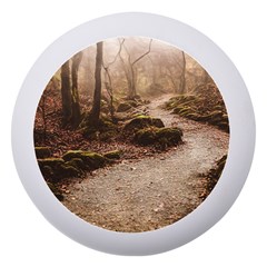 Path Trees Forest Fantasy Dento Box With Mirror