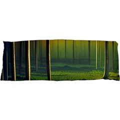 Outdoors Night Moon Full Moon Trees Setting Scene Forest Woods Light Moonlight Nature Wilderness Lan 47 x17  Body Pillow Case Dakimakura (two Sides)
