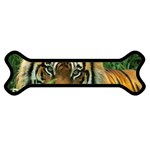 Tiger Magnet (Dog Bone) Front