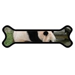 Giant Panda Magnet (Dog Bone) Front