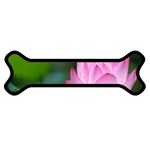 Red Pink Flower Magnet (Dog Bone) Front
