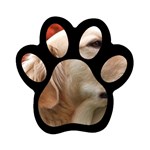 dog-photo cute Magnet (Paw Print) Front